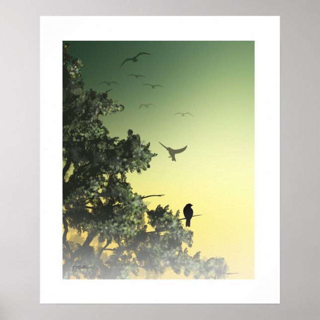 Póster Morning Song (Frente)