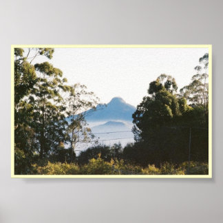 Póster Morning View