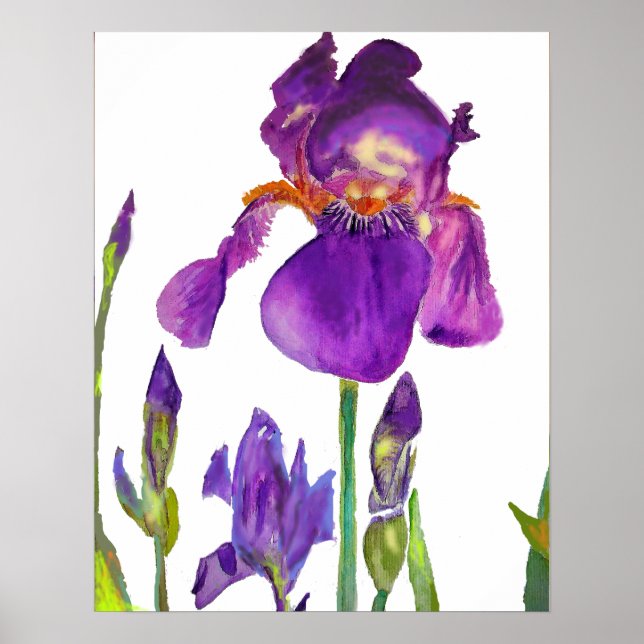 Póster Morple Iris irradia Poster de flores florales (Frente)