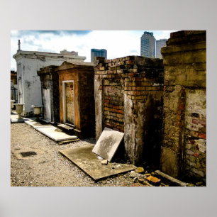 Póster Mortalidad, Cementerio de San Luis No. 1