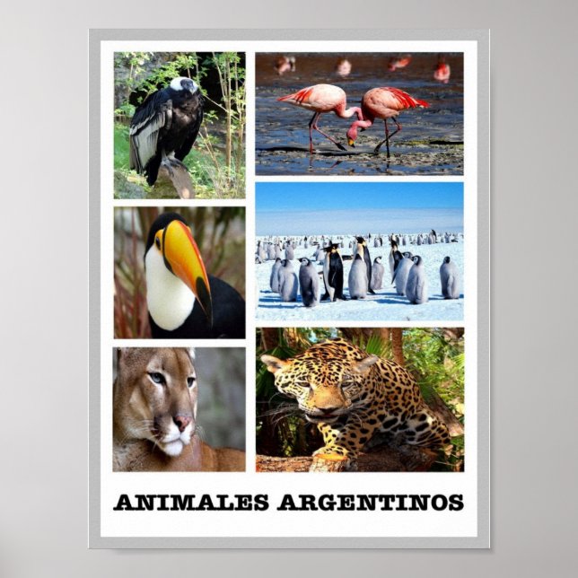 Póster Mosaic Animales Argentinos - (Frente)
