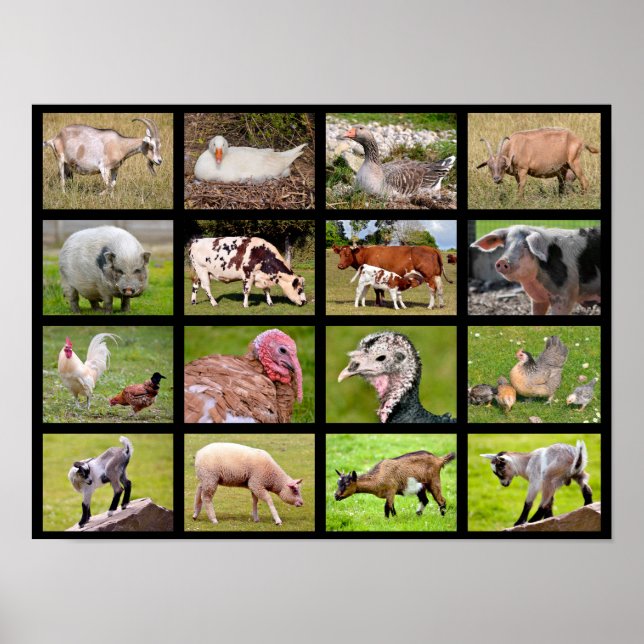 Póster Mosaico de animales de granja (Frente)