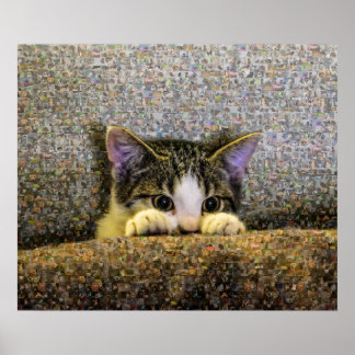 Póster Mosaico de fotos de gatitos.