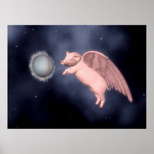 Póster mosca
