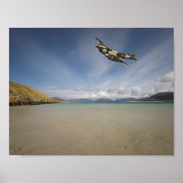 Póster Mosquito solitario (Frente)