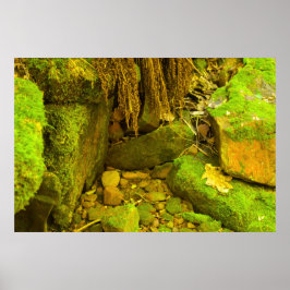 Póster Moss and Stone – Cascadas de Hungarian, Península 