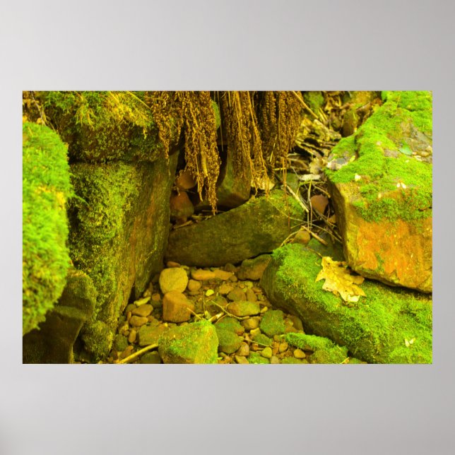 Póster Moss and Stone – Cascadas de Hungarian, Península  (Frente)