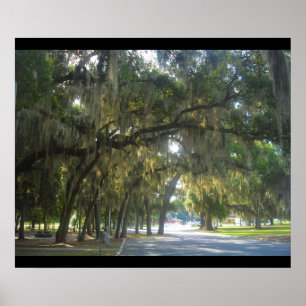 Póster Moss españoles en Georgia