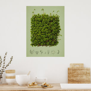 Póster Moss motif poster
