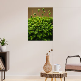 Póster Moss motif poster