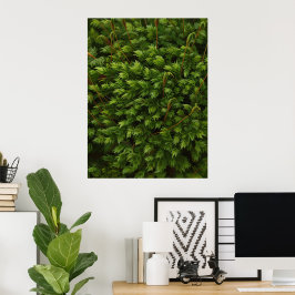 Póster Moss motif poster