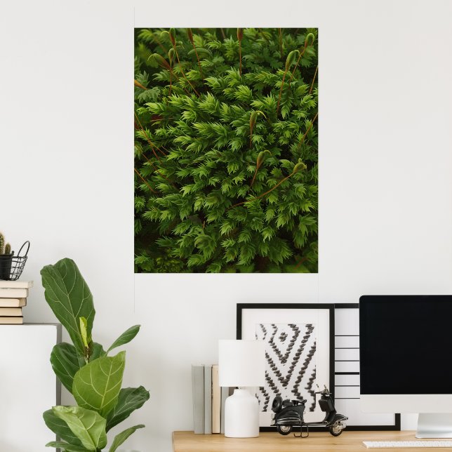 Póster Moss motif poster (Oficina en casa)