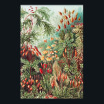 Póster Mosses, muscinae Laubmoose por Ernst Haeckel<br><div class="desc">Muscinae Laubmoose de Ernst Haeckel Vintage Plants Poster</div>