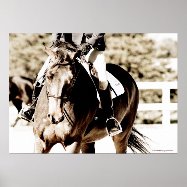 Póster Mostrar caballo (Frente)