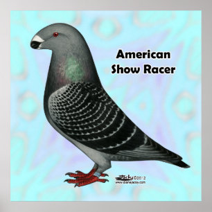 Póster Mostrar Racer ASR