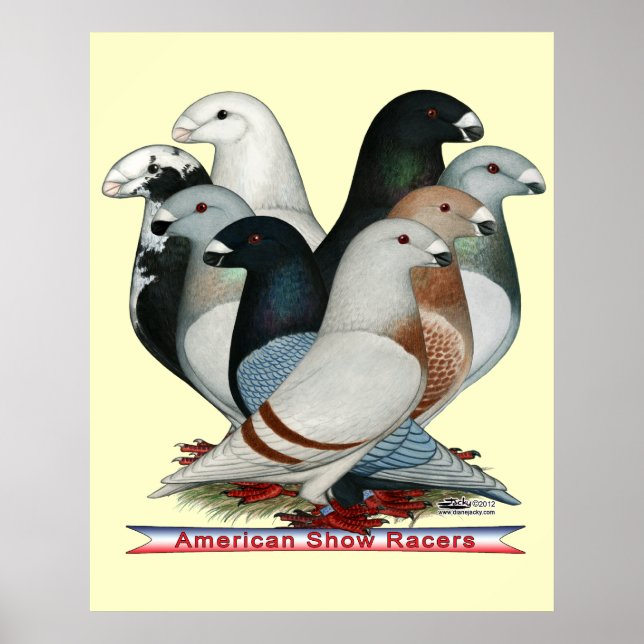 Póster Mostrar Racers Ocho (Frente)