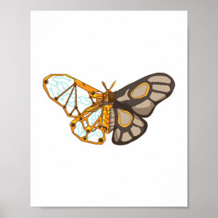 Póster Moth Butterfly Dragonfly Insect