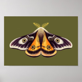 Póster Moth Insect Art Goblincore Saturnia Witchen Green
