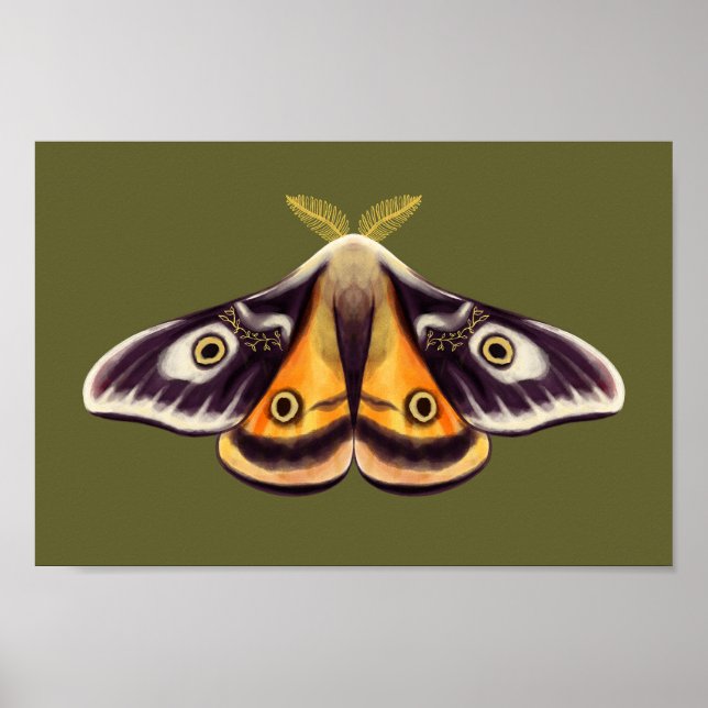 Póster Moth Insect Art Goblincore Saturnia Witchen Green (Frente)