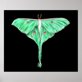 Póster Moth Lunar Verde Ilustrado