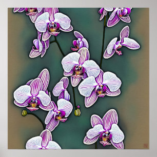 Póster Moth Orchid - Canvas Art Print