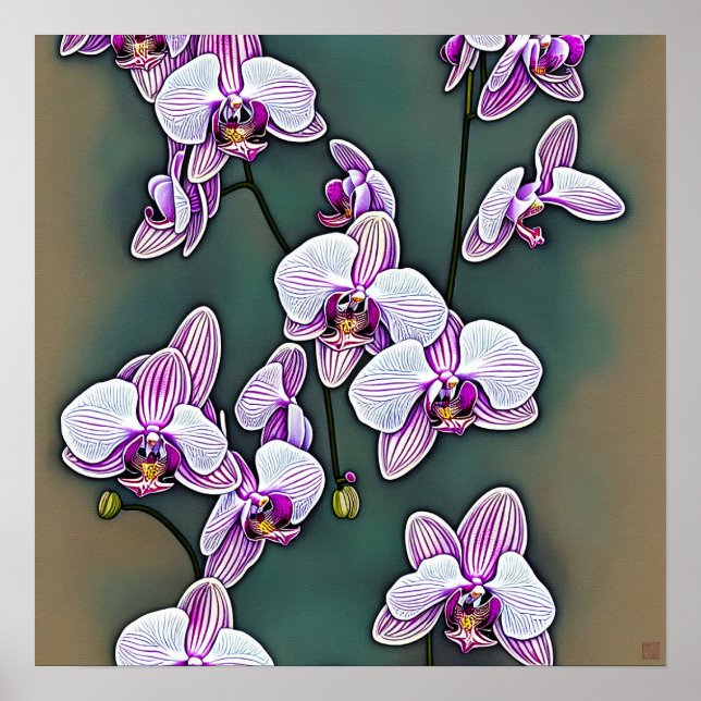 Póster Moth Orchid - Canvas Art Print (Frente)