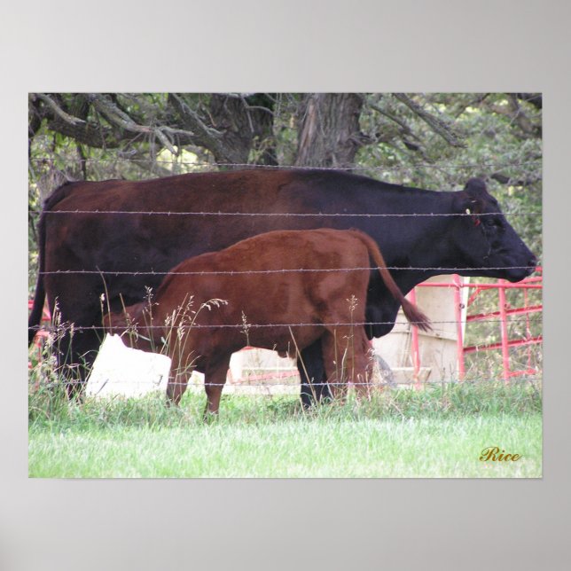 Póster Mother and Child (Frente)