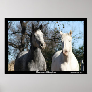 Póster Mother and Daughter