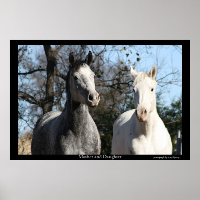 Póster Mother and Daughter (Frente)