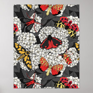 Póster Moths on white hydrangea