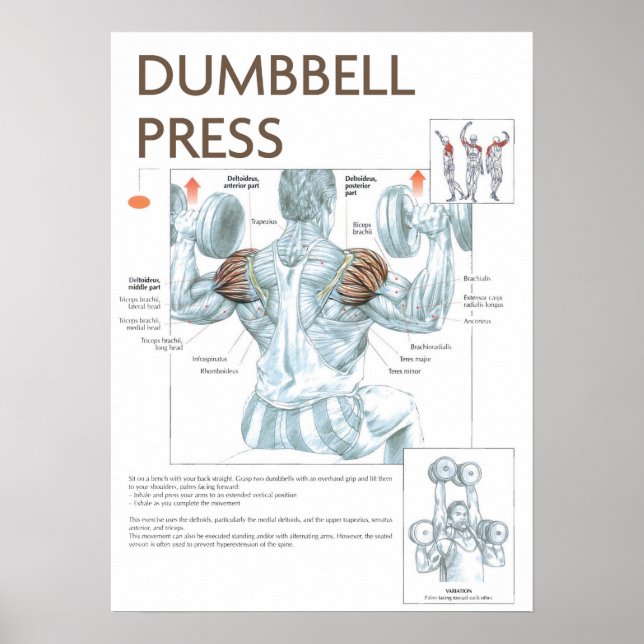 Póster Motivación de entrenamiento (Frente)