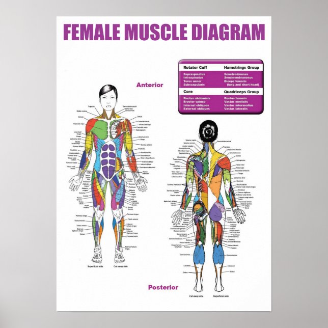 Póster Motivación de entrenamiento (Frente)