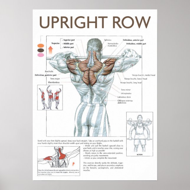 Póster Motivación de entrenamiento (Frente)