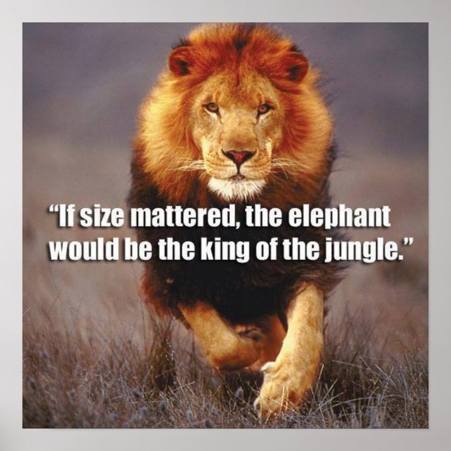 Póster Motivación de entrenamiento (Frente)