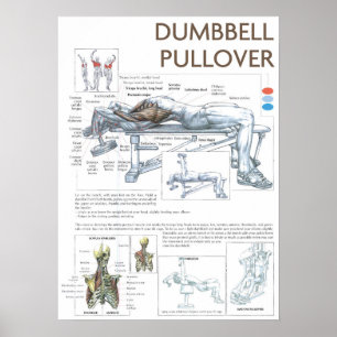 Póster Motivación de entrenamiento