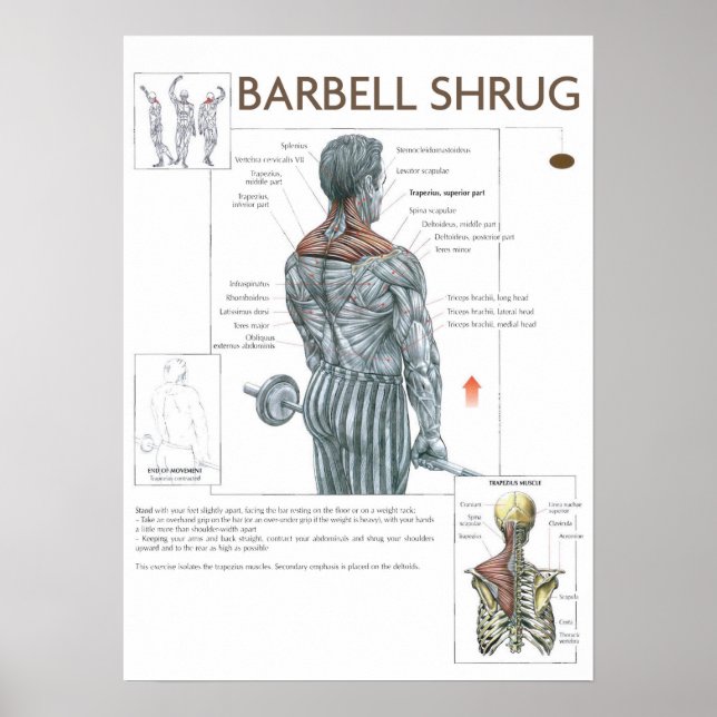 Póster Motivación de entrenamiento (Frente)