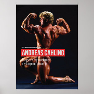 Póster Motivación de entrenamiento