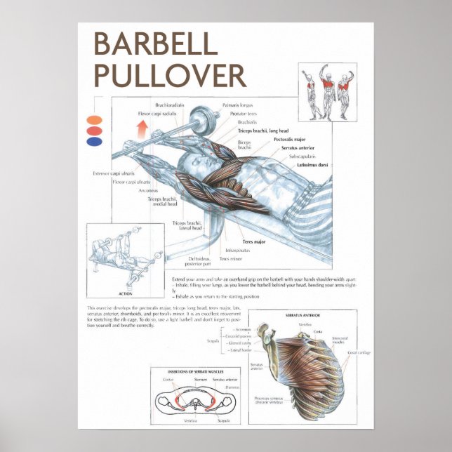 Póster Motivación de entrenamiento (Frente)
