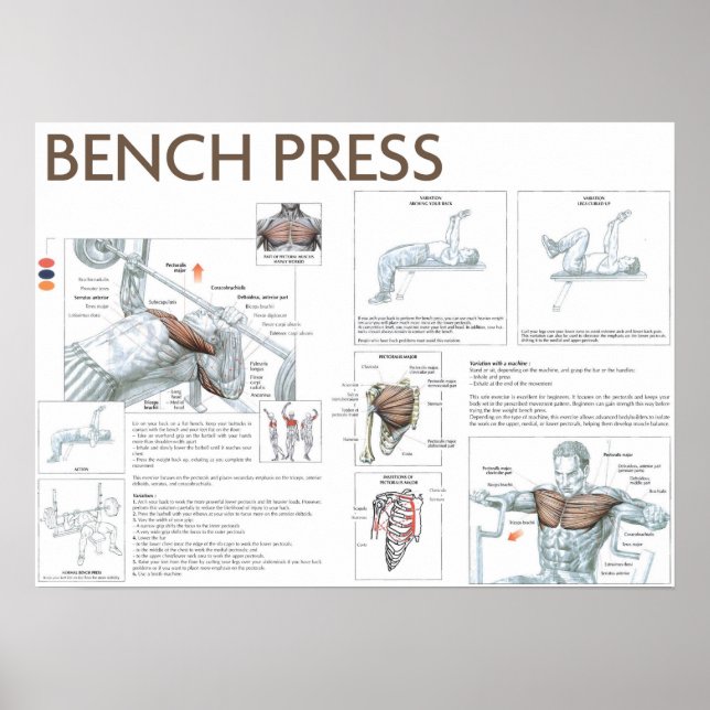 Póster Motivación de entrenamiento (Frente)