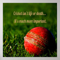 Motivación divertida del cricket Red Ball