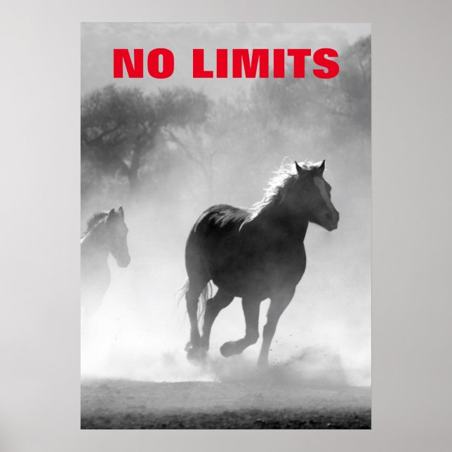 Póster Motivación inspiradora sin límites de caballos (Frente)