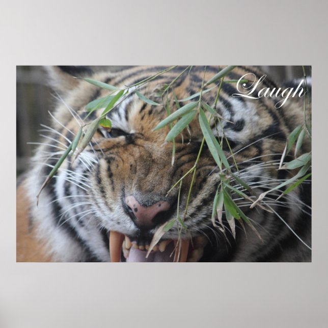 Póster Motivación, motivación, risa (Frente)