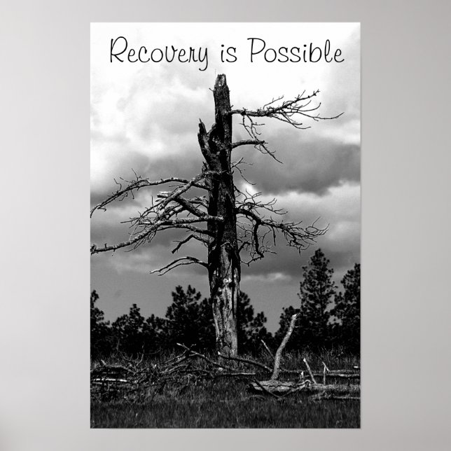 Póster Motivational Poster-Recovery (Frente)