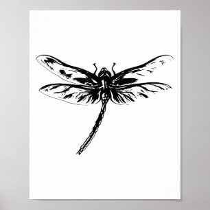 Póster Motivo de insecto libélula Alas coloridas Insectos