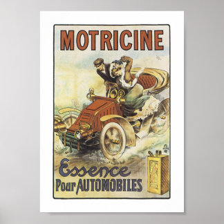 Póster Motricina