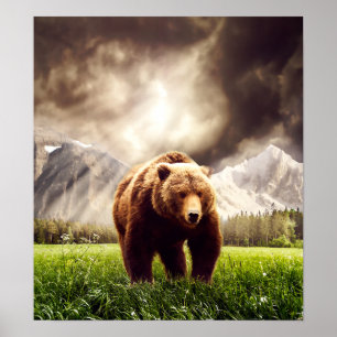 Póster Mountain Bear