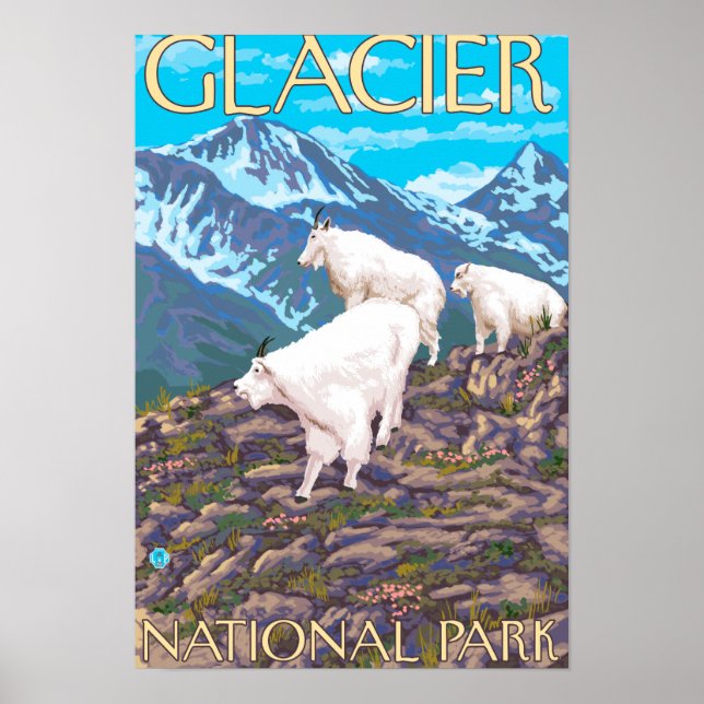 Póster Mountain Goats Scene - Glacier National Park, (Frente)