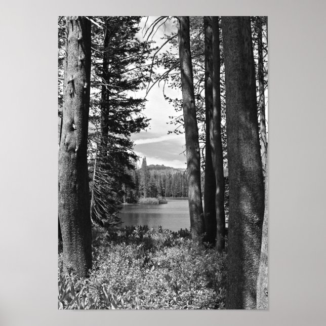 Póster Mountain Lake, Forest, Black and White (portrait) (Frente)