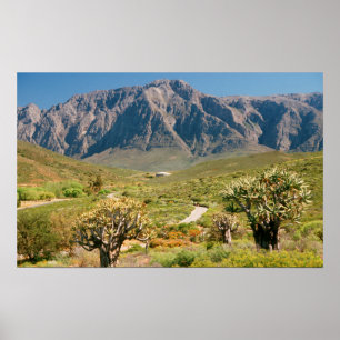 Póster Mountain Range, Worcester Nature Reserve