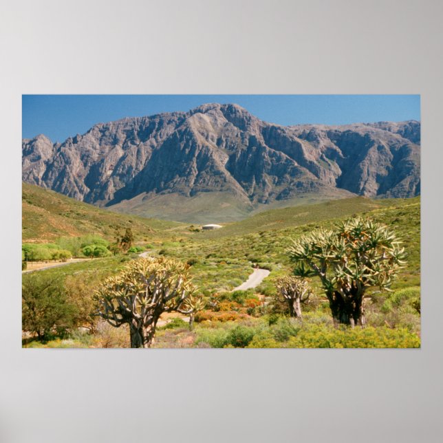 Póster Mountain Range, Worcester Nature Reserve (Frente)